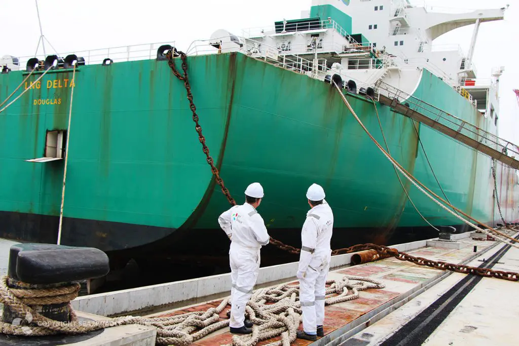 ‘Frantic’ scrapping of younger vessels featured image