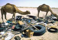 Saudi Arabia missing out on recycling ‘win-win’ featured image