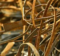 Chinese ferrous scrap demand ‘grossly underestimated’ featured image