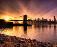 Sims opens standard-setting MRF in New York featured image