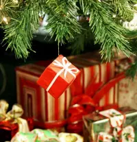 Holiday waste stream signals economic growth featured image