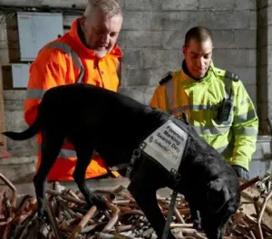 Coalition backs more measures to tackle metal theft featured image