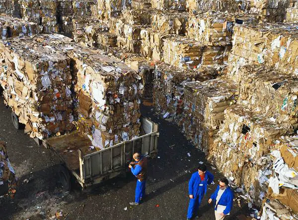 RISI: future scarcity and quality issues for OCC featured image