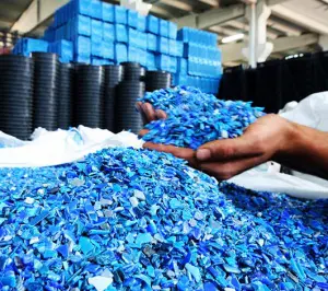 Novolex snaps up plastics recycler WF&B featured image