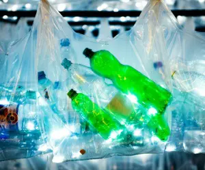 Milestone for US plastic bottle recycling featured image