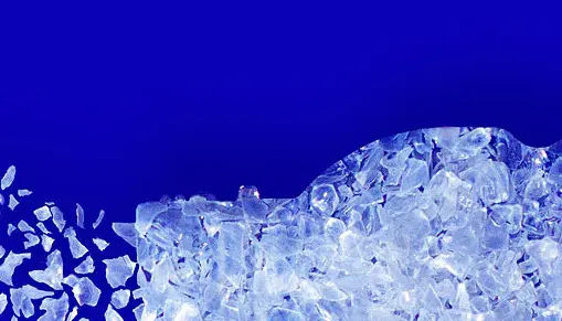 CARBIOS pioneers PET bio-recycling process featured image