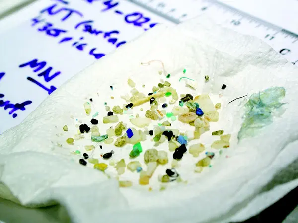 US research yields first 100% recyclable biopolymer featured image