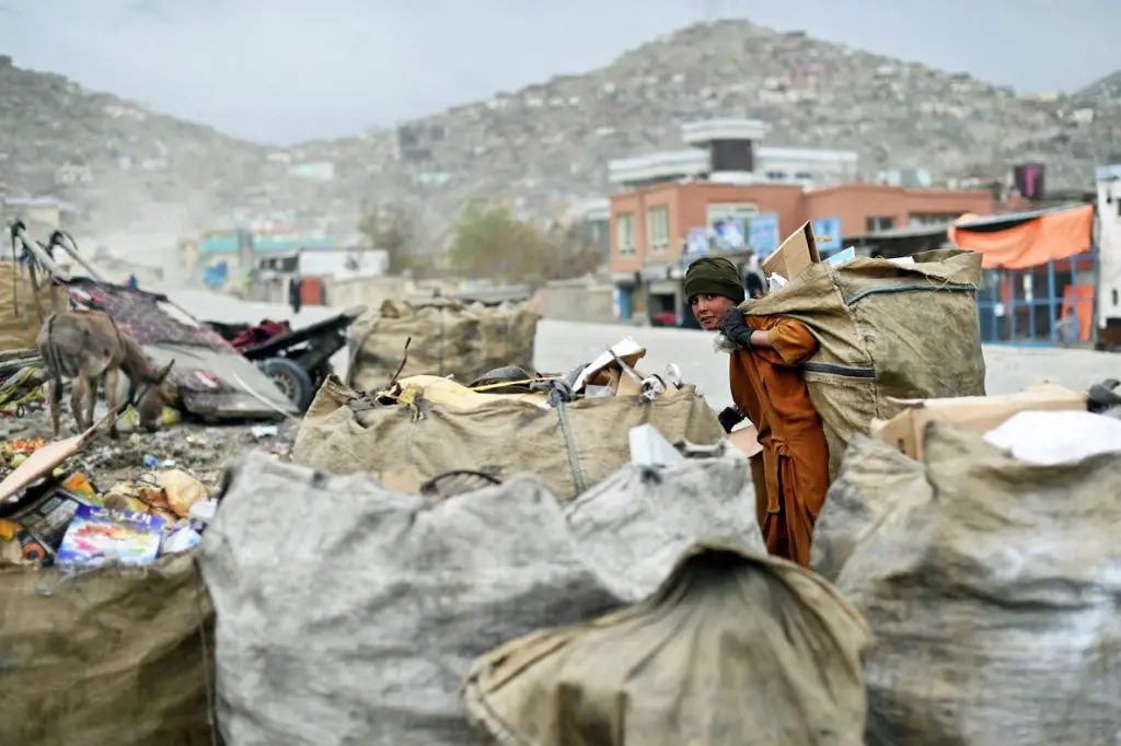 Turkey gets tough on street waste pickers featured image