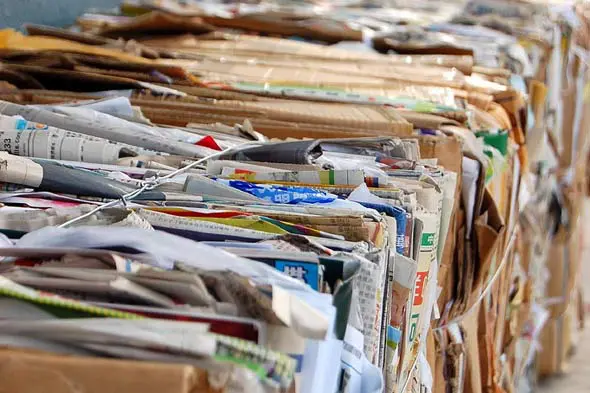 New director for paper industry body CEPI featured image