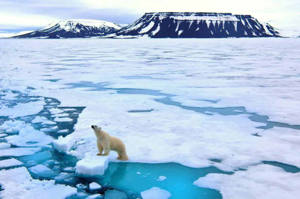 Axions’ recycled polymers bring large carbon footprint savings featured image