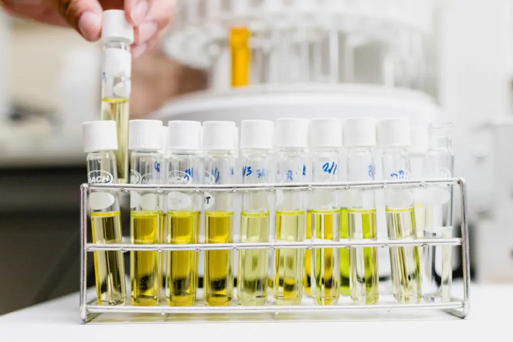 Canadian university lab prioritises post-experiment materials recycling featured image