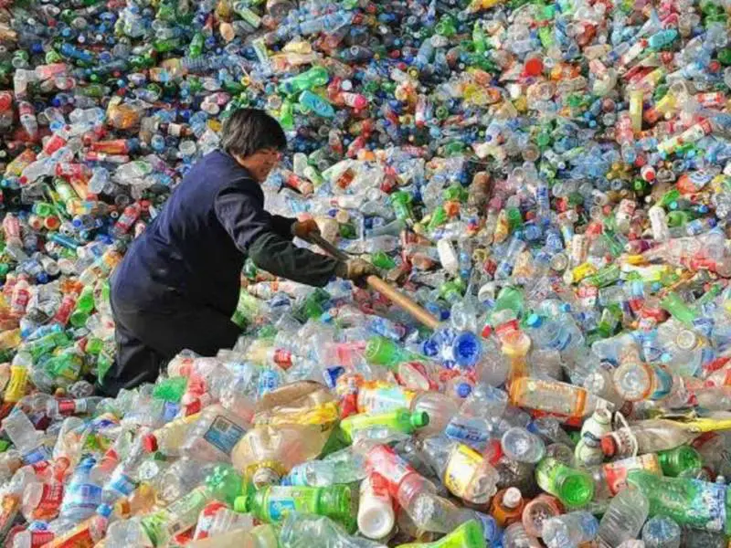 BIR disappointed by China’s confirmed impurity limits featured image