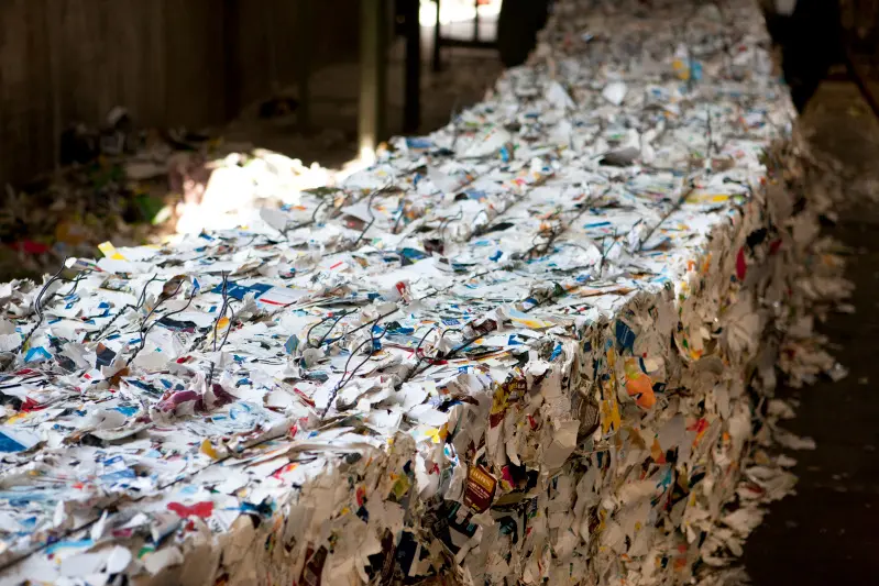 Final conference for IMPACTPapeRec separate collection project featured image