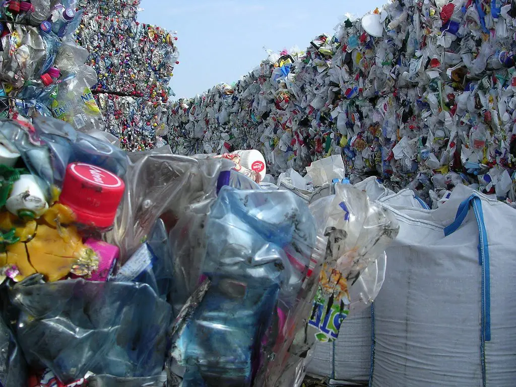 Panda creating multi-million plastics recycling hub in UK featured image
