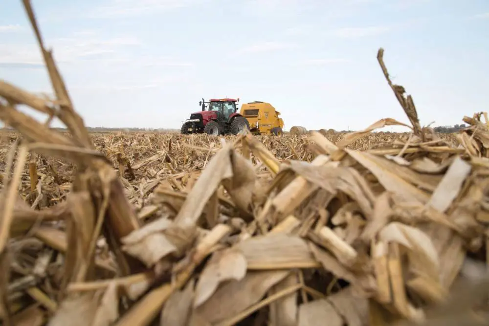 A rare earths recovery breakthrough straight from the corn field… featured image