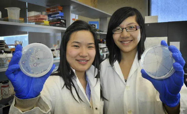 Miranda Wang and Jeanny Yao