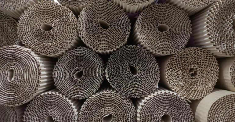 New record for fibre recycling featured image