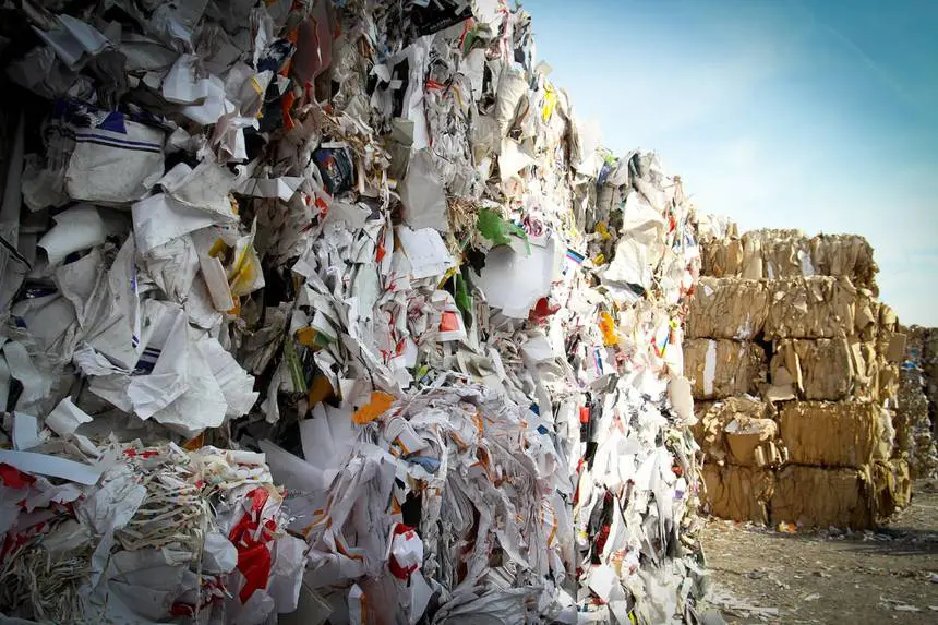 Growth ahead for multi-billion paper recycling sector featured image