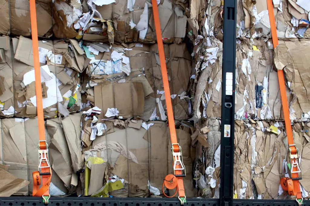 Paper sector adjusting to the ‘new normal’ featured image