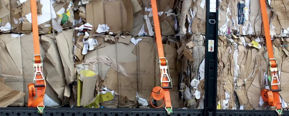 Paper sector offsets demand to cope with China’s import deadline featured image