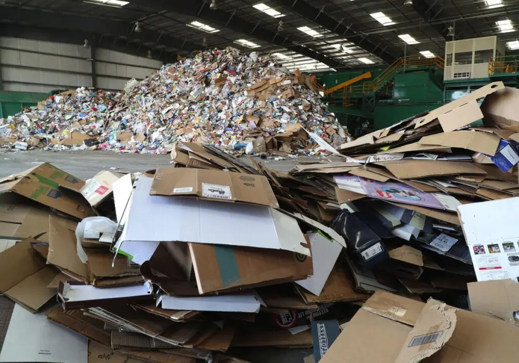 Bright prospects for global paper market featured image