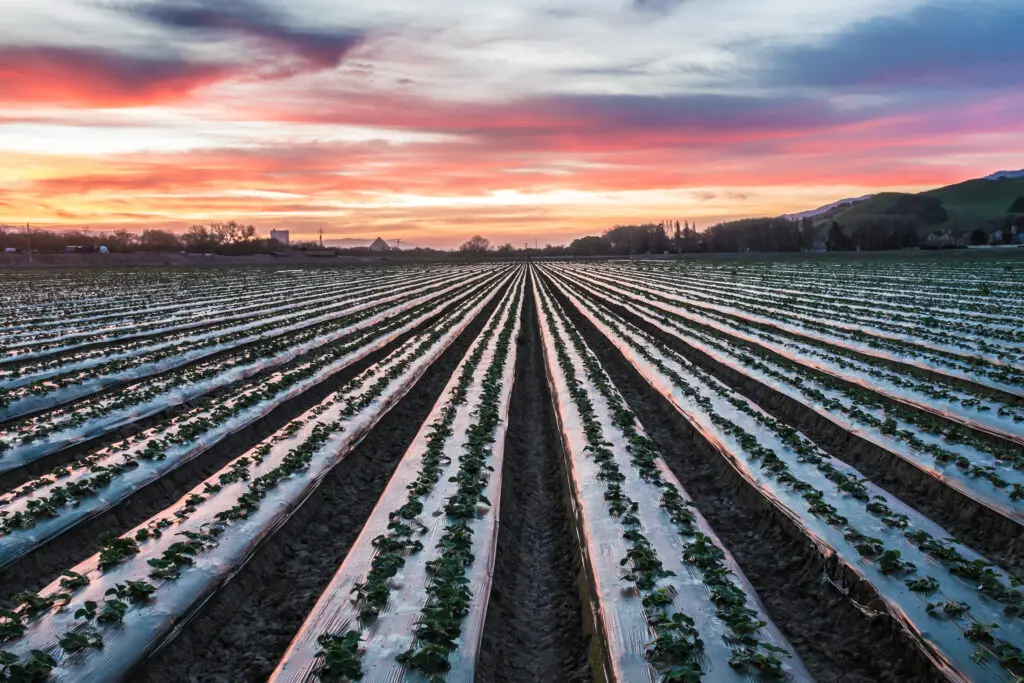 Enva buys into agricultural plastics recycling featured image