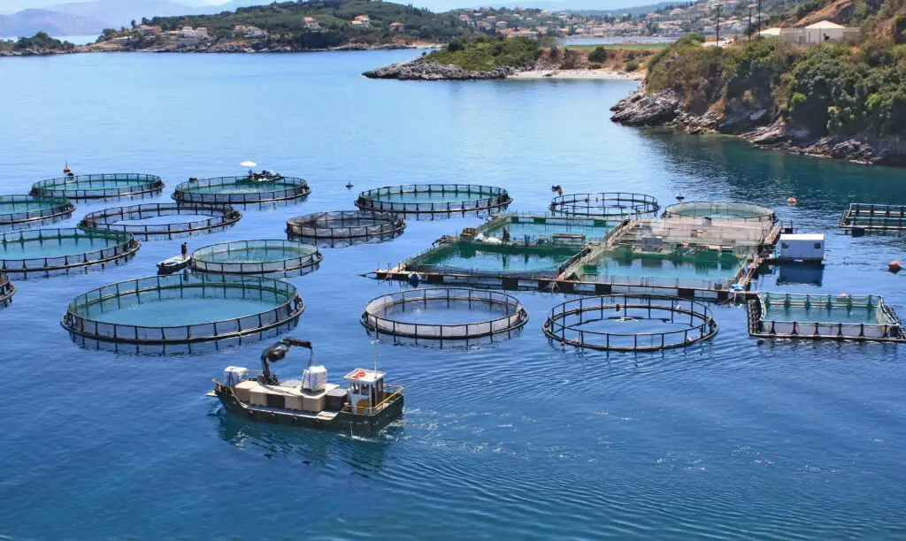 <strong>Aquafil and Nofir save copper from the ocean</strong> featured image