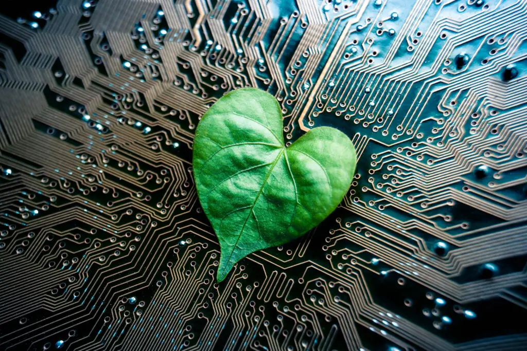 leaf on computer motherboard