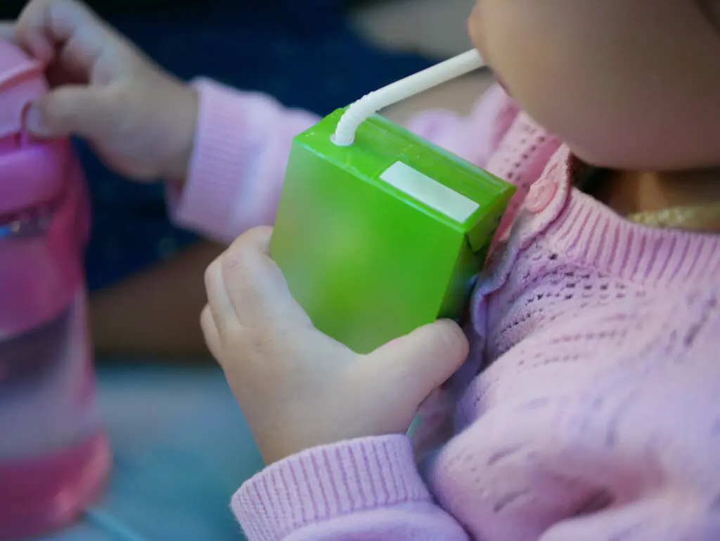 US carton hub opens the door to eco building materials featured image