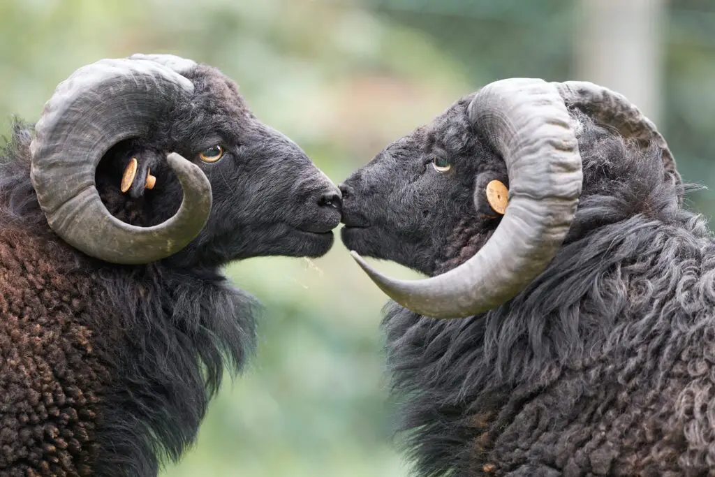 Nature calls! featured image