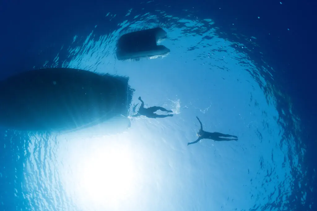 New estimate for wind turbine and aircraft wing waste in Europe featured image