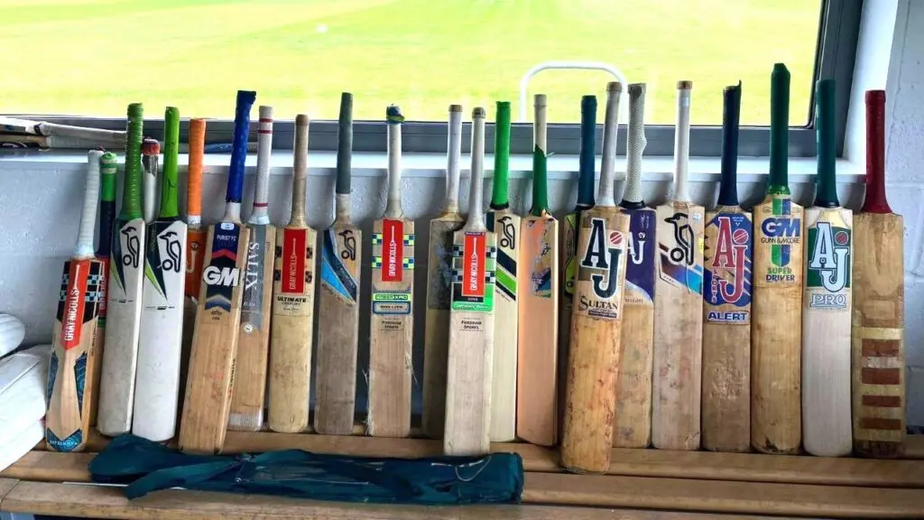 Howzat for circular cricket? featured image