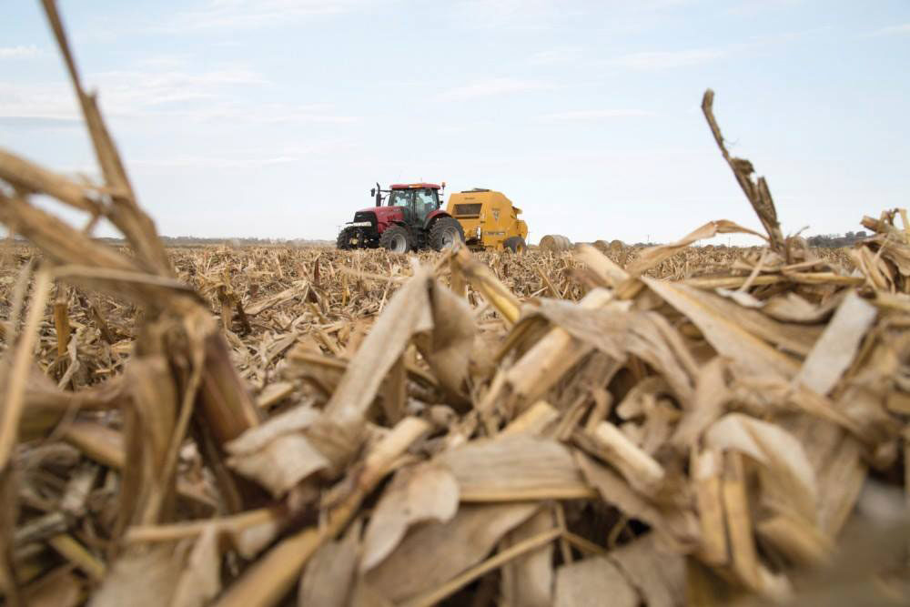 A rare earths recovery breakthrough straight from the corn field… featured image