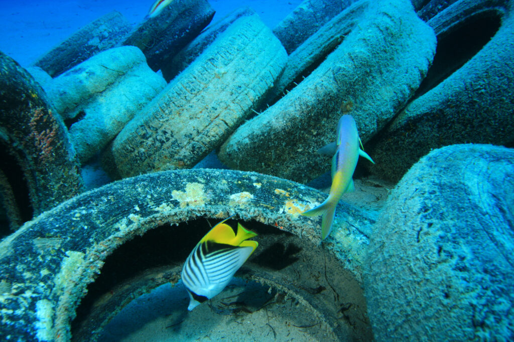 car tyres at the bottom of the ocean with fish