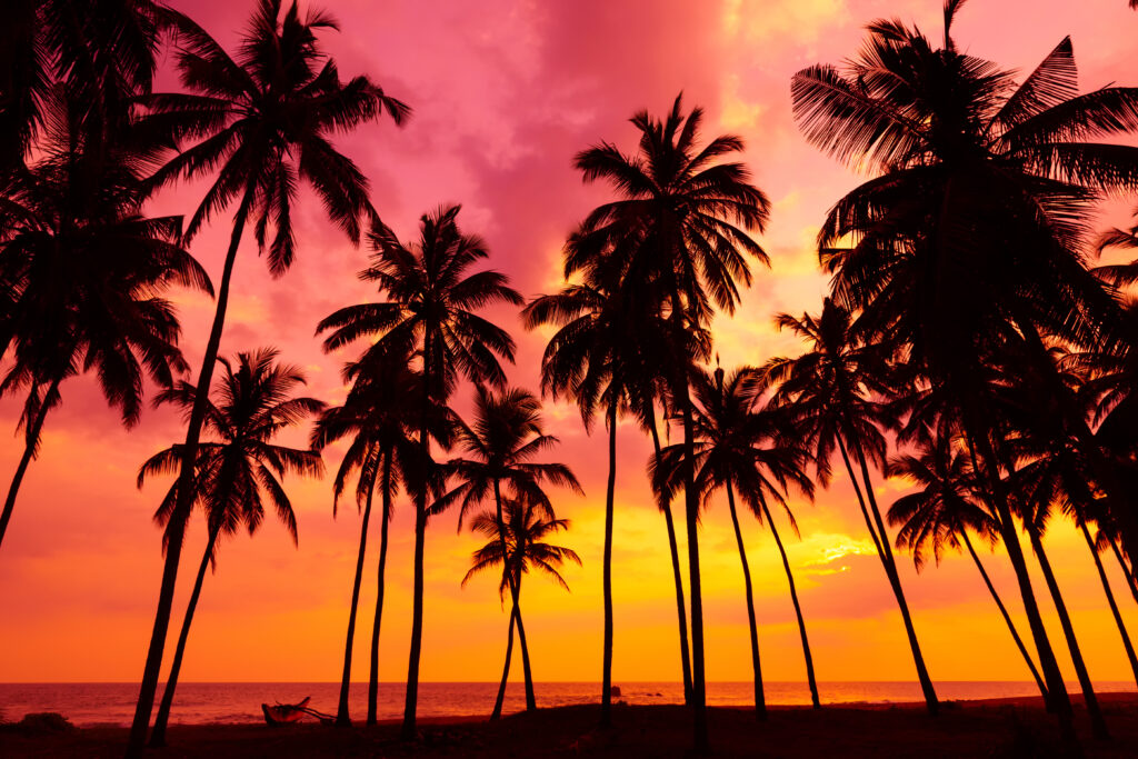 Wendt tech gives Hawaii recycler competitive edge featured image