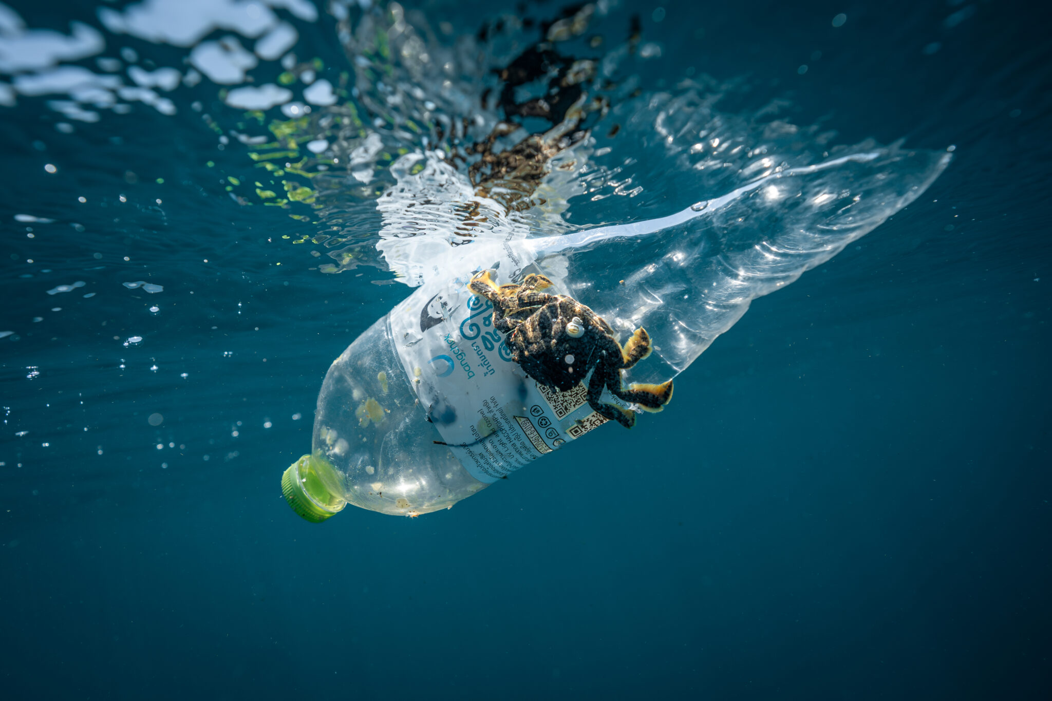 Will ICC collect another 1.3 million plastic bottles in September?