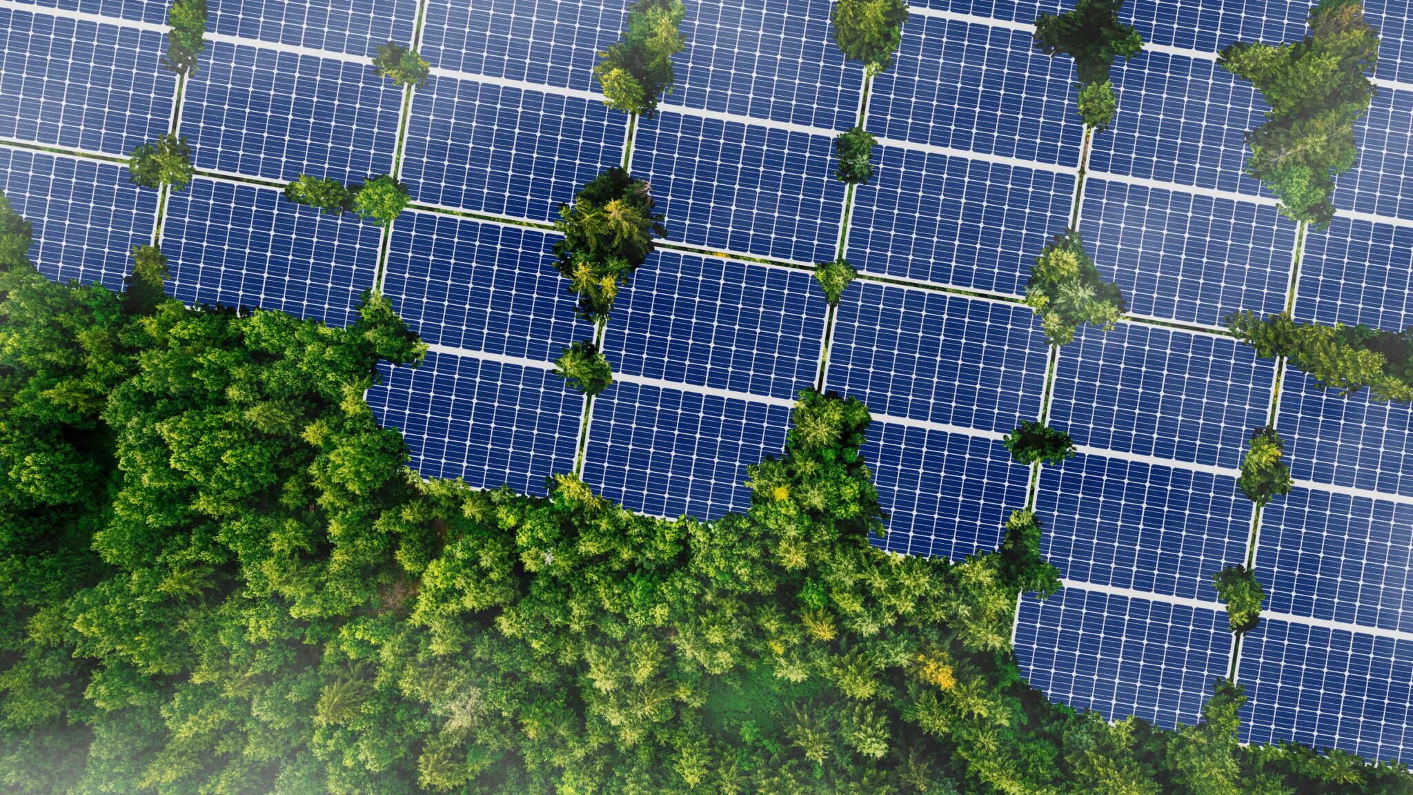 Every cell counts: How Bridge Solar is reinventing PV reuse • Recycling International